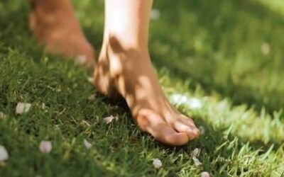 Andar descalzos: el poder del grounding en nuestra salud